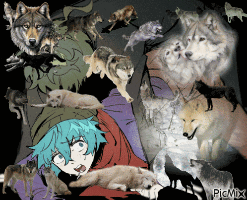 Soushin Sou Hiyori GIF