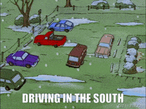 South Driving GIF