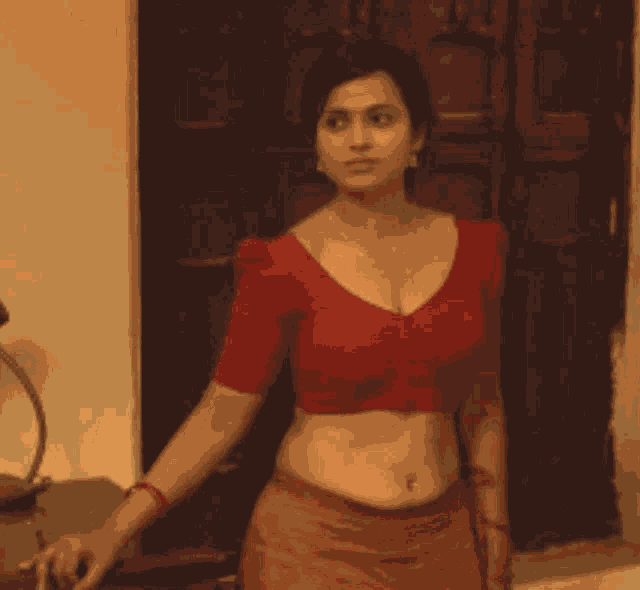 South Hot Saree GIF