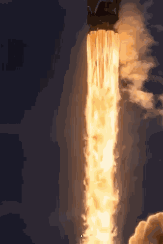 Space X Elon GIF