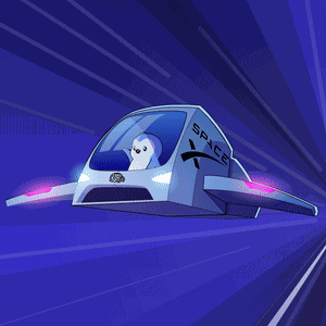 Space Xspace X Spacex GIF