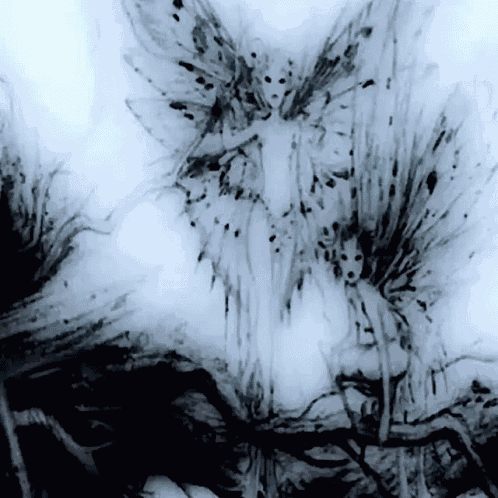 Spacev GIF
