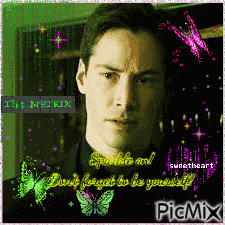 Sparkle Sparkle On GIF