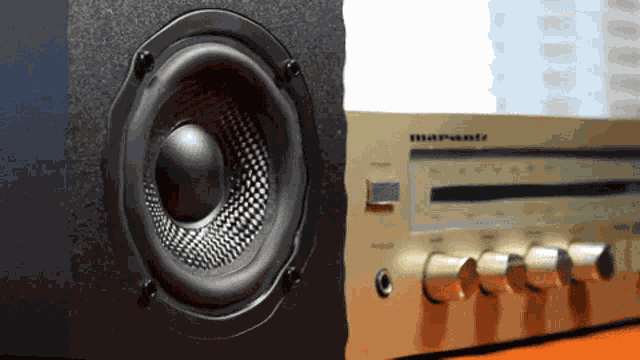 Speaker Sound Waves GIF