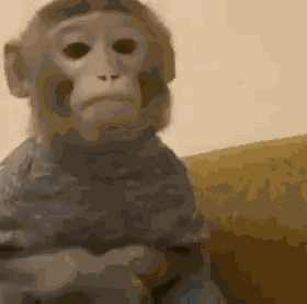 Spearhyunho GIF