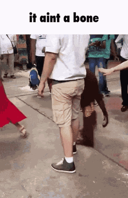 Sphere Spherecord GIF