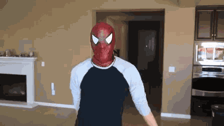 Spider Denk Denk Ops GIF