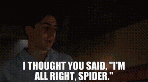 Spider Goodfellas GIF