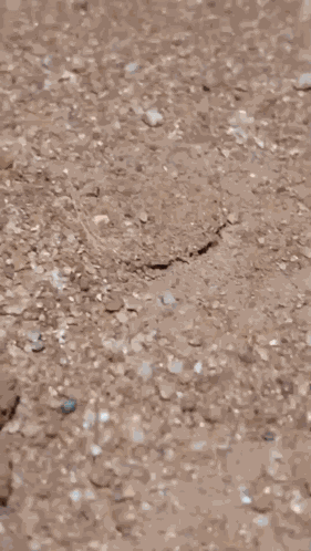 Spider Hole GIF