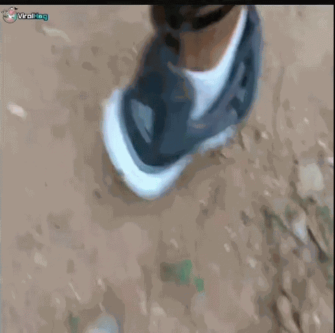 Spider Leg GIF