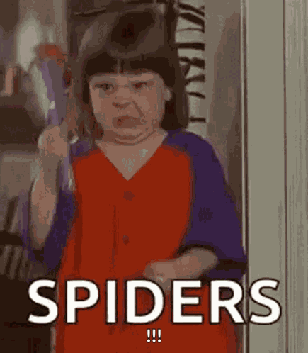 Spider Man GIF