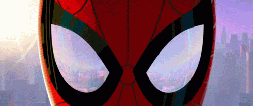 Spider Man Into The Spider Verse Spider GIF