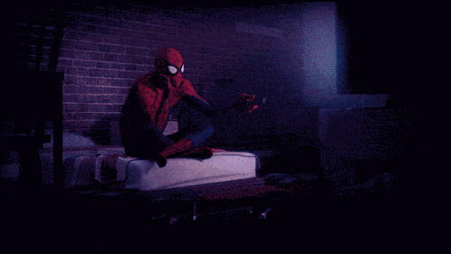 Spider Man Spider Verse GIF