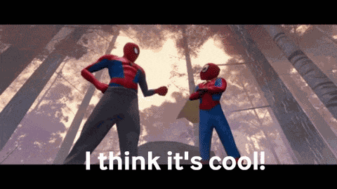 Spider Man Spider Verse GIF