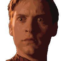 Spider-man Spiderman Sticker