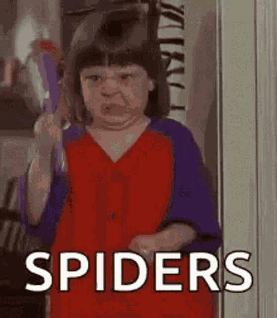 Spider Man GIF
