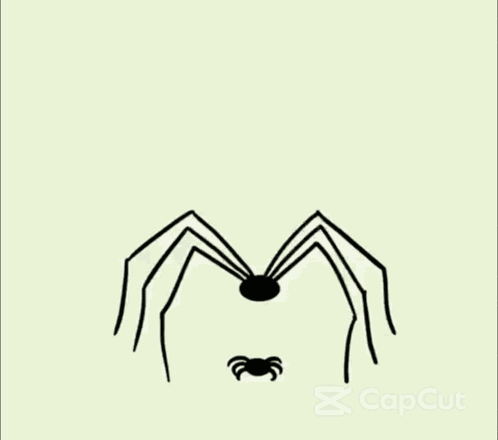 Spider Throw Spider GIF
