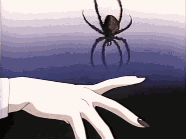 Spider GIF