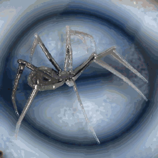 Spiders GIF