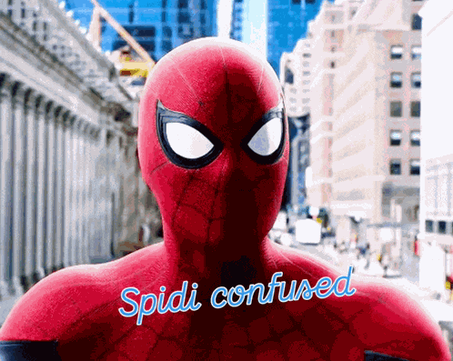 Spidi Bhai Spido GIF