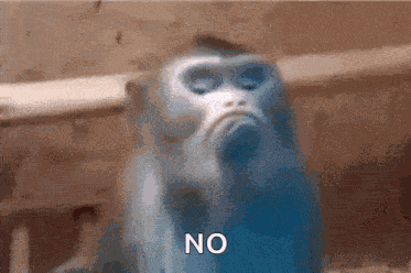 Spike Funny Animals GIF