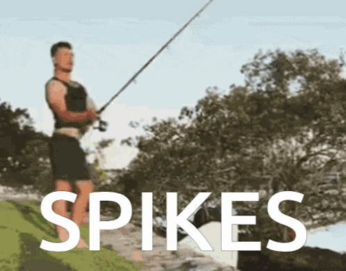 Spikes Fisher GIF