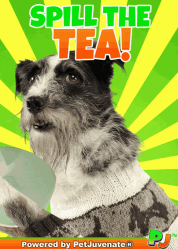 Spill The Tea Pour The Tea GIF