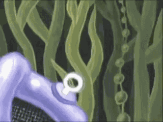 Spinchbob Spongebobchineseboy GIF