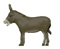 Spinning Donkey Sticker