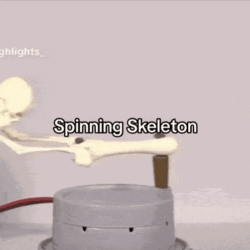 Spinning Skeleton Wheel GIF