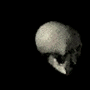Spinning Skull Emoji GIF
