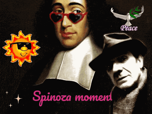 Spinoza Deleuze GIF