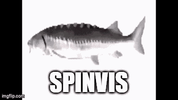 Spinvis Spinning Fish GIF