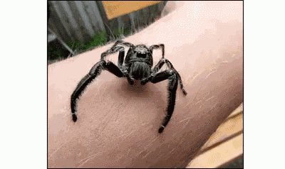 Splitdepthgifs GIF