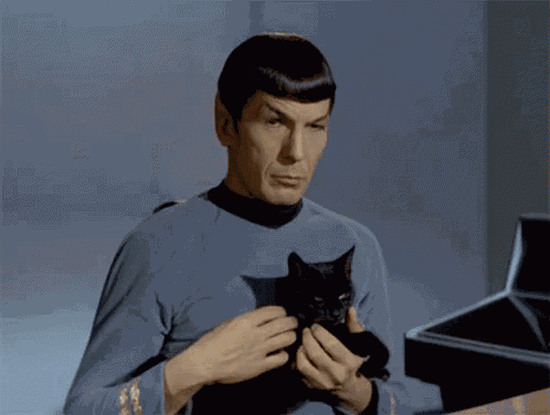 Spock Star Trek GIF