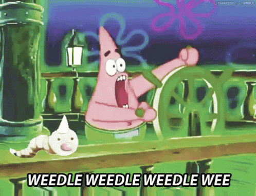 Sponge Bob Patrick GIF
