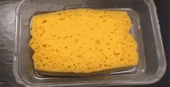 Sponge In Reverse GIF