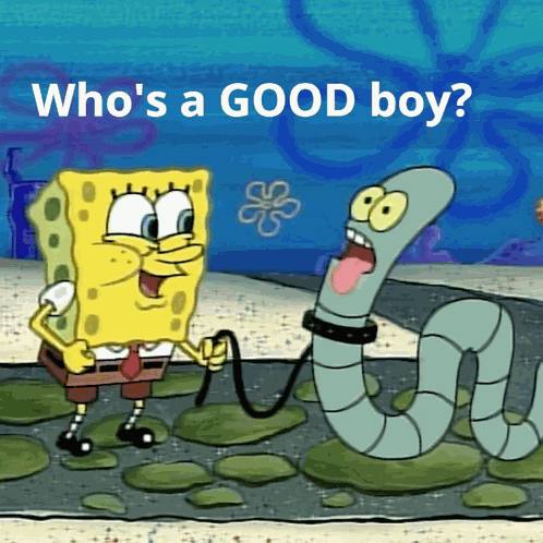 Spongebob Good Boy GIF