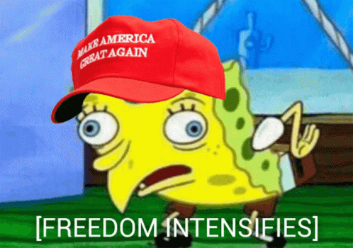 Spongebob Meme GIF