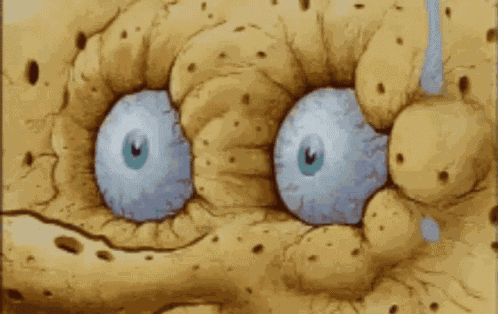 Spongebob Meme Spongebob GIF