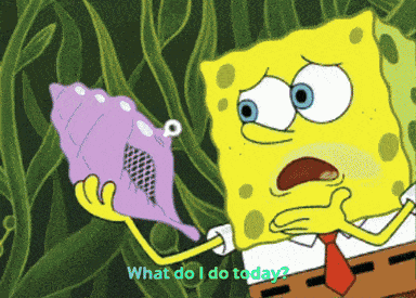 Spongebob Patrick Star GIF