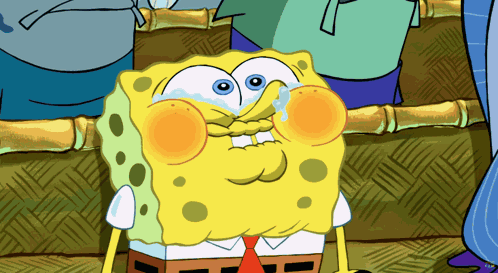 Spongebob Spongebob Squarepants GIF