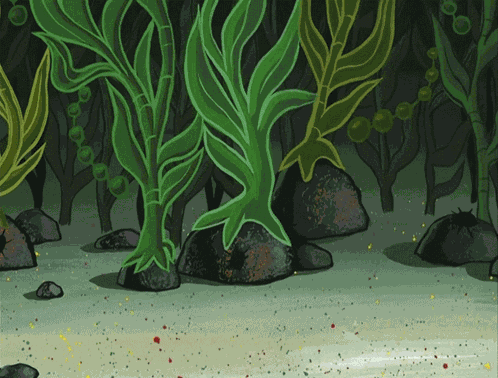 Spongebob Spongebob Squarepants GIF
