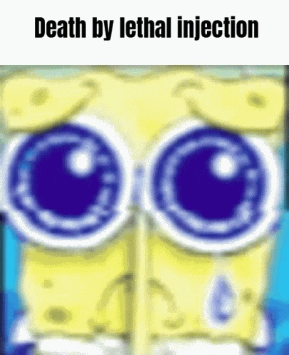 Spongebob Spunch Bop GIF