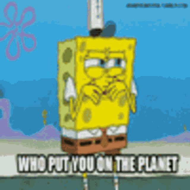 Spongebob Who Put You On The Planet GIF
