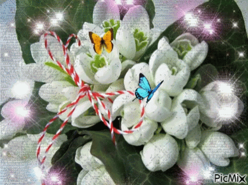 Spring Flowers GIF