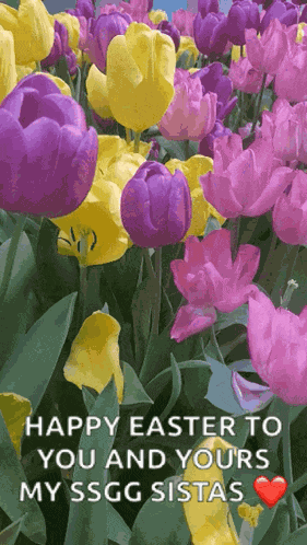 Spring Flowers GIF