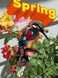 Spring Goodmorningspring GIF