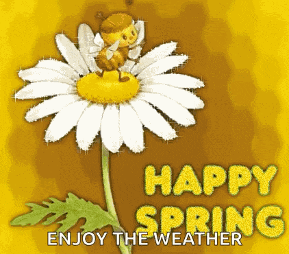 Spring GIF