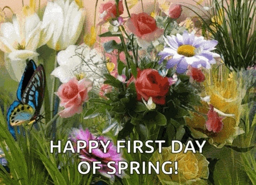 Spring GIF